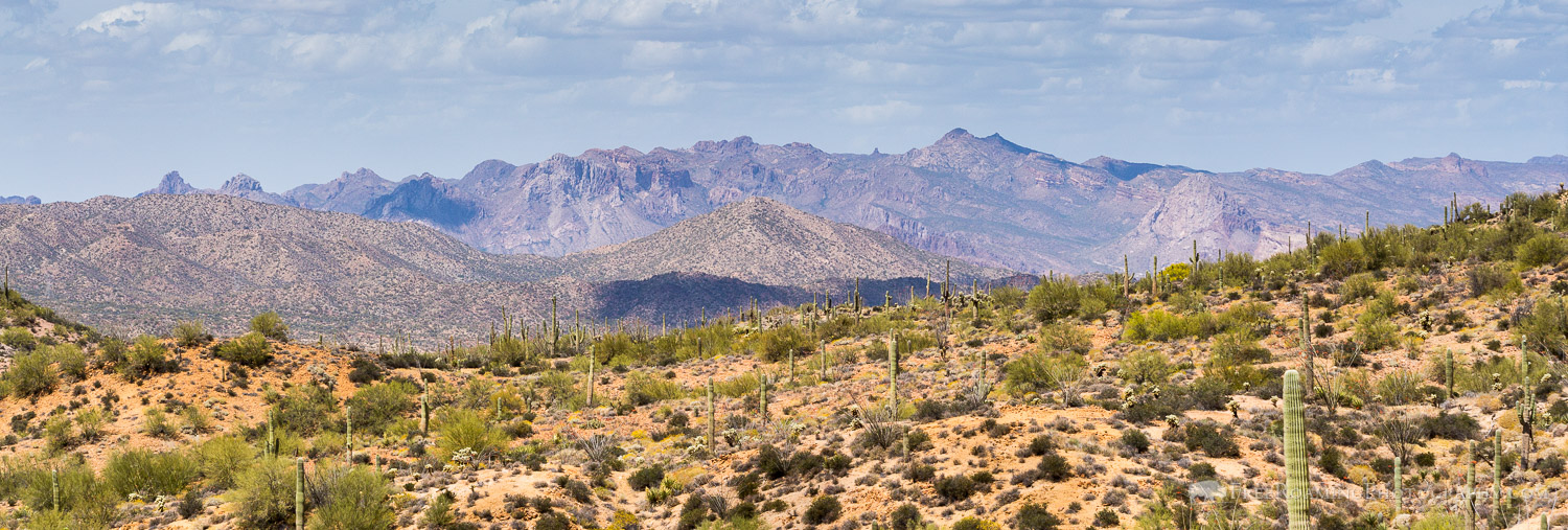 Sonoran Desert and Desert Mountains