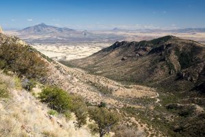 Desert Grasslands and Oaks