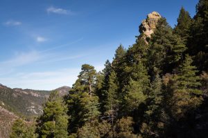 Rock Spire Above Crest Trail