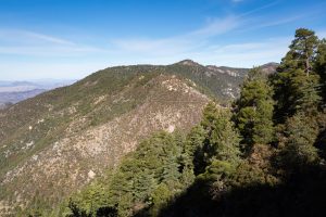 Huachuca Mountain Crest Trail