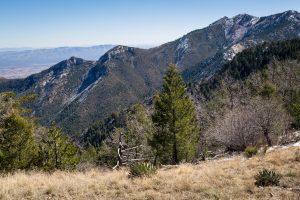 Northern Huachuca Mountains