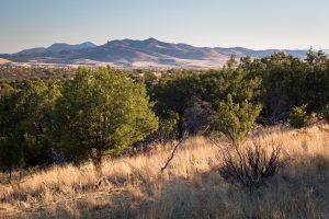 Desert Grasslands Mountains