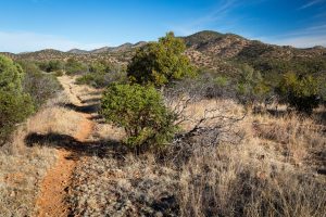 Desert Grasslands Hiking Trail