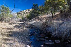Creek in Desert Grasslands