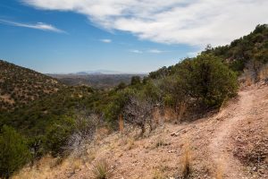 Hiking Trail in High Desert Grasslands