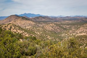 Santa Ritas Beyond Canelo Hills