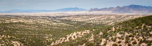 High Desert Grasslands and Sky Islands