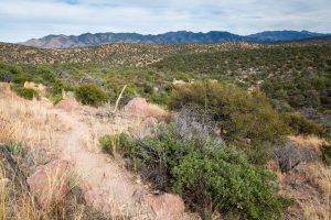 High Desert Grasslands and Hills