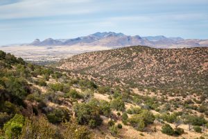 Whetstone Mountains and Southern Arizona