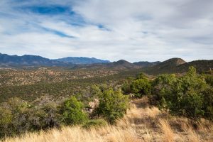 Arizona Trail in Canelo Hills