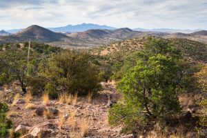 Desert Hills and Sky Island