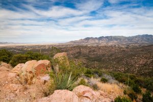 Rocks and Trees Along Arizona Trail