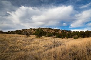 Desert Grasslands Hills