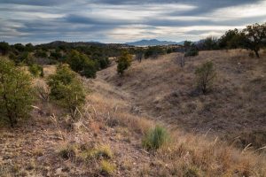 Desert Grasslands Wash Along Arizona Trail