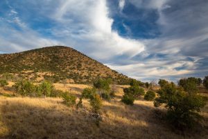 High Desert Grasslands and Hills