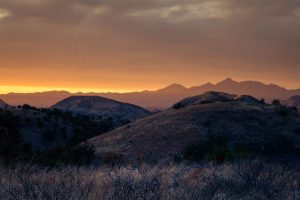 Colorful Desert Grasslands Sunset