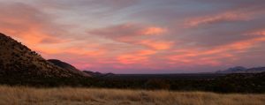 Colorful Sunset Above Desert Grasslands