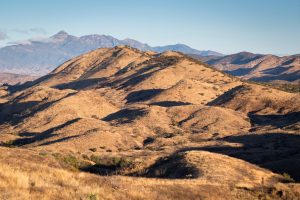 Mount Wrightson Beyond Desert Hills
