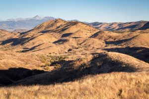Grasslands Below Sky Island
