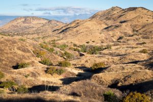 Sparse Trees Below Hills