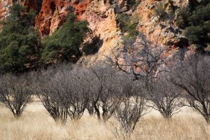 Red Bank Canyon