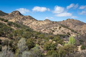 Southern Arizona Desert Hills