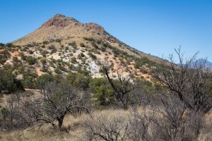 High Desert Grassland Hills