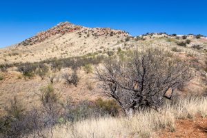 Large Desert Grasslands Hill