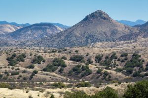 Canelo Hills Above Rolling Desert