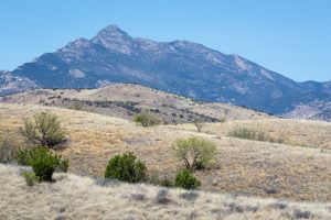 Mount Wrightson Above Desert Grasslands