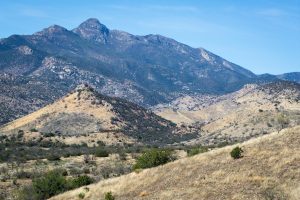Mount Wrightson Above Foothills