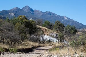 Mount Wrightson Above Foothills