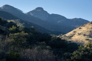 Arizona Trail Below Mount Wrightson