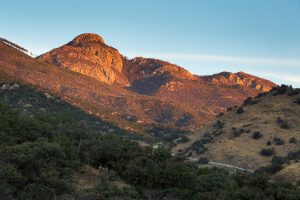 Mount Wrightson Glowing Above Forest