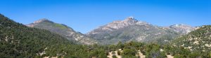 Rugged Peaks of the Santa Ritas