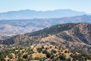 High Desert Grassland Mountains