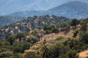 Santa Rita Mountain Foothills