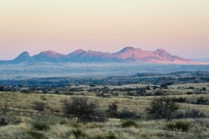 Whetstone Mountains at Sunset