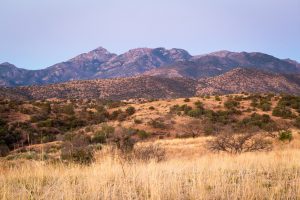 Mount Wrightson Above Dawn Landscape