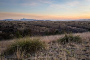 Sonoran Desert Sunrise