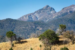 Mount Wrightson Above Foothills