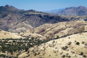 Sonoran Desert Grasslands and Hills