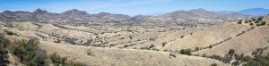 Santa Rita Mountain Foothills