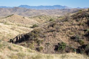 Northern Santa Rita Mountain Foothills