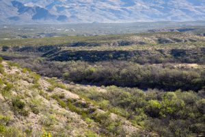 Cienega Creek and Rincon Mountains