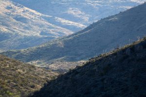 Rincon Mountain Foothills