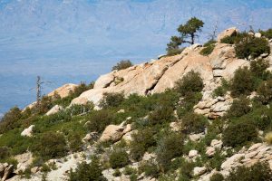Banded Gneiss Outcropping