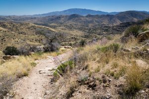 Mica Mountain Beyond Arizona Trail