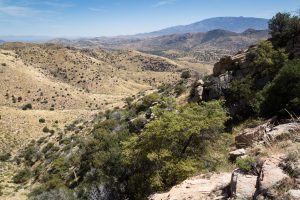 Arizona Trail in Desert Grasslands