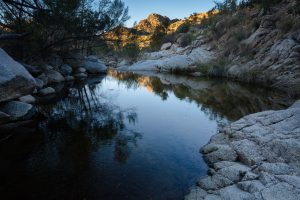 Pool in East Fork of Sabino Canyon
